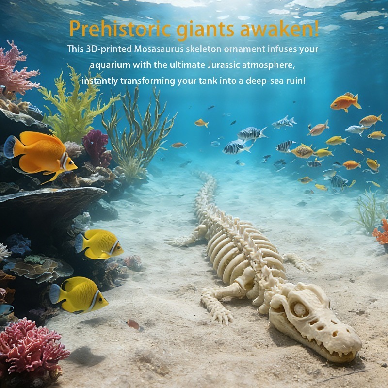 Marine Aquarium Used - 1 Pieza de Esqueleto de Mosasaurio