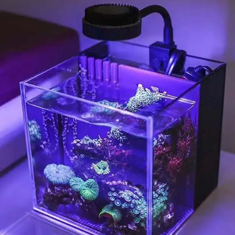 Zetlight-Luz Led M1 1050, espe - Marine Aquarium Tanks reseña y precio