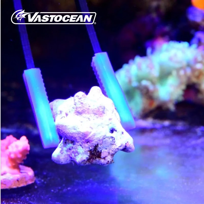 Pinzas de Coral Vastocean, pin - Calcium Reactor Media reseña y precio