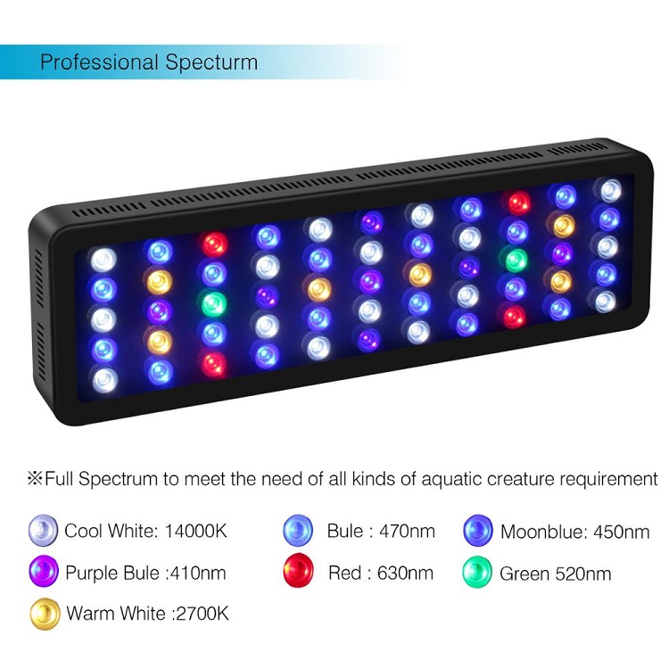 BT Control inalámbrico DIY esp - Marine Aquarium Used reseña y precio