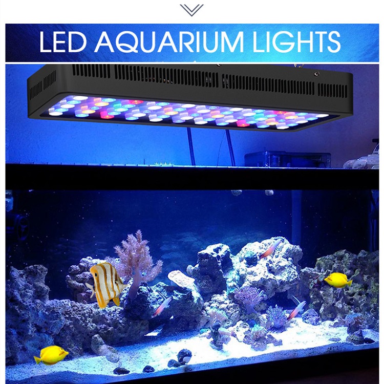BT Control inalámbrico DIY esp - Marine Aquarium Used reseña y precio